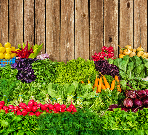 vegetable garden wallpaper